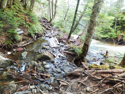 �錄���ˤ�����٤ι⤤�Ǹ�����