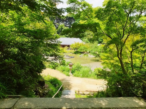 12�������㳬�ʾ夫�������ƤȰ�����Ʋ�򸫤�