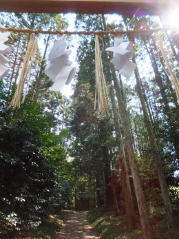 ����Ū�ʱ���