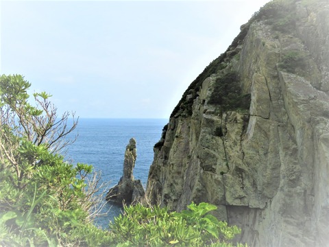 �Ѳ���Ÿ˾�����椫��