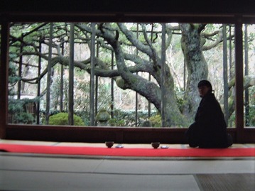 �縶�����������۱�ˤ����