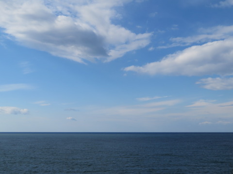 �����ܳ��ο�ʿ��