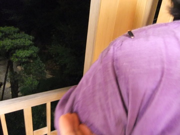 ���԰��Ļ���Ǹ�����ޤ��