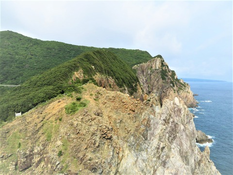 ������������������ͷ��ƻ�����ä�