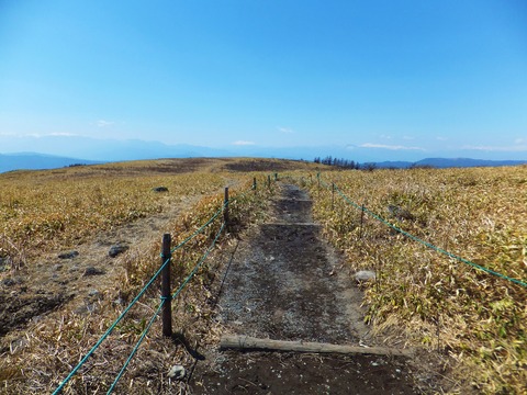 ¼¯½ü¤±¤Îºô¤¬¤Ê¤¤¤Î¤¬ºÇ¹â¡ª