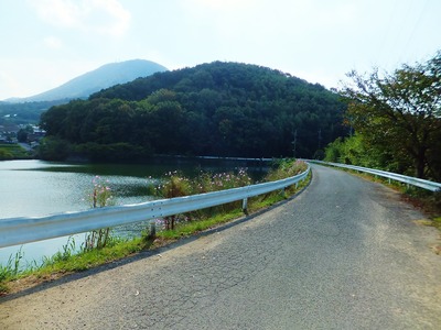 ����î�Ӥ򸫤ơ����˸��������㻳�ؤȸ������ޤ�