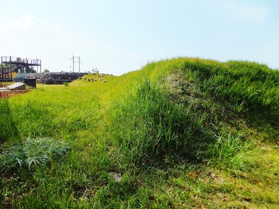 ����ʯ�����ʯ�򸫤�