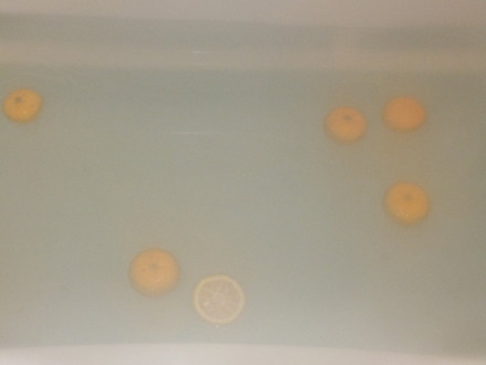このゆず湯、暖かそうですね