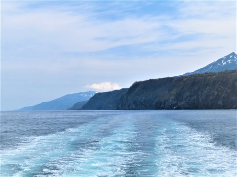 Ãξ²È¾Åç¤ò¤ª¡¼¤í¤é¹æ¤«¤é