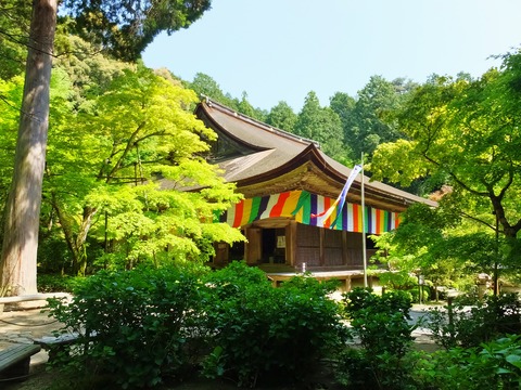 ����������������ػ���Ʋ