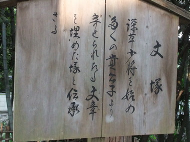 ʸ��������