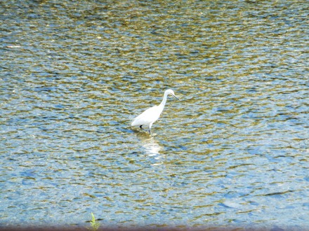 �������������