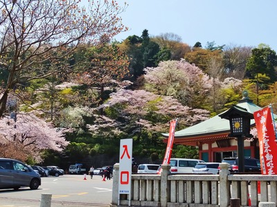 6����Ȩ��ưº�κ�