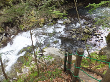 ���ʥ�������������ФΥƥ饹�򸫲�����