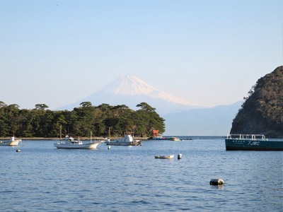 ��ī���ٻλ�������̨�α�ʤȤ���