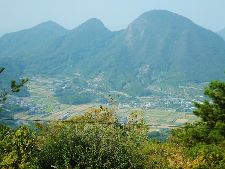 ���Ȥ�ë��ͭ���϶�