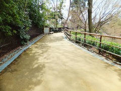 £´¡¦ËÌÌîÅ·ËþµÜ¡¦¸æÅÚµï¤Î¾åÉô