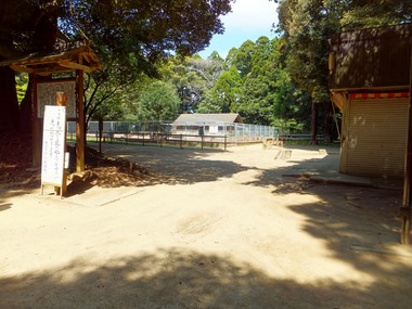 ��ƻ��꼯���