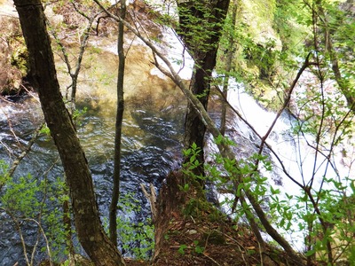 �ֽ��������