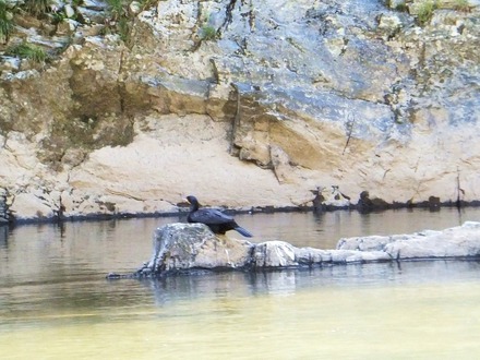 ������ޤ���