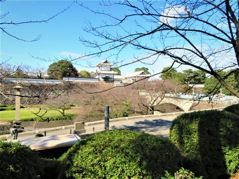 ����Ź����ɴ�ַ��ۤ����������˾��