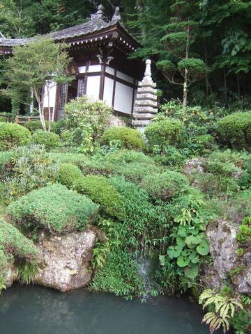 ������Ʋ������