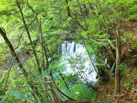 ���դΤʤ��ֽ꾮��