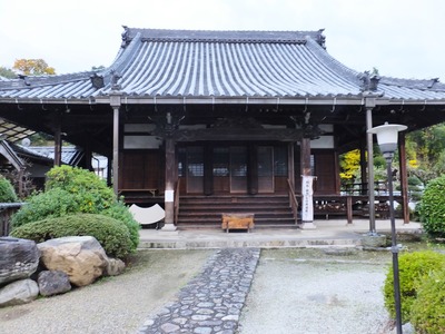 ����������Ʋ