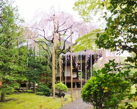 7���������ˡ���λ޿��