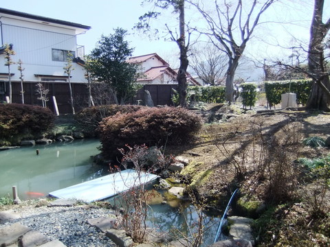 �����ӤΤ�����