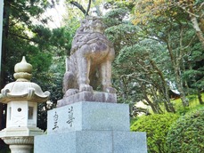 �߷��ι���