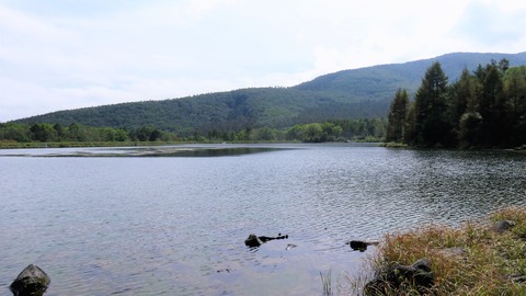 1¡¦10·î4Æü¤ÎȬÀéÊæ¥ì¥¤¥¯¤Ç¤¹