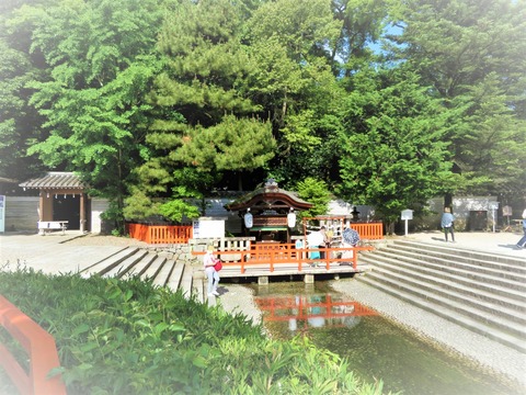 ¡¤ß¤¿¤é¤·Àî¤È°æ¾å¼Ò