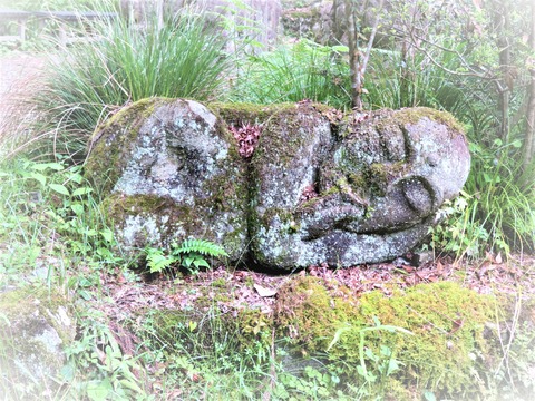 ¿²Å¾¤ó¤ÇµÙ·ÆÃæ¤ÎÍå´ÁÍÍ