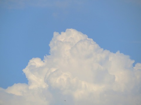 £°ÆþÆ»±À¤â¤¯¤â¤¯