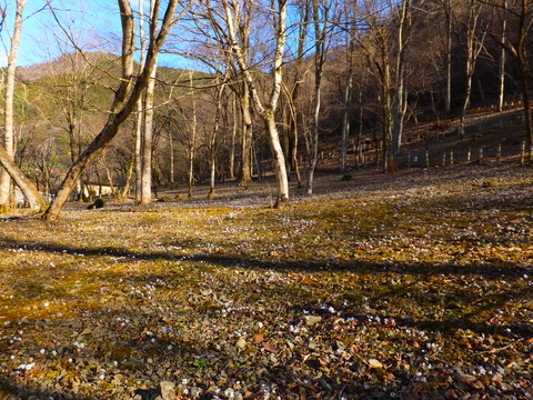 19����Υ���ȥ饹��