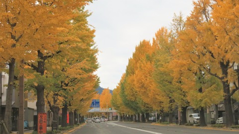 Ȭ���ҹý���ƻ¿����ͼ���