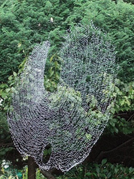 �����¤��