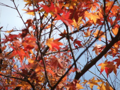 ���դ򸫾夲��