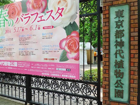 ���忢ʪ��