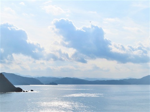 常神半島西海岸から若狭湾