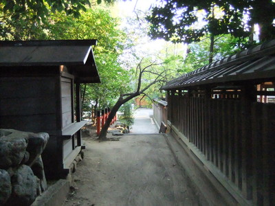 ����ؤǤ�����ޤ�