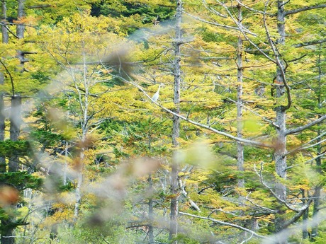 »Þ¤Ë¤È¤Þ¤ëÇòºí