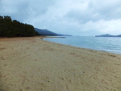 ï�⤤�ʤ����դ�Ϳ�դγ�