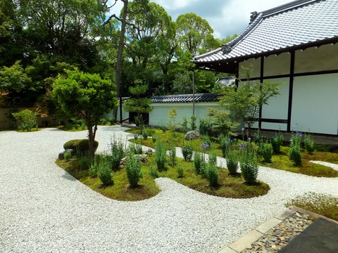 ������˵˹�