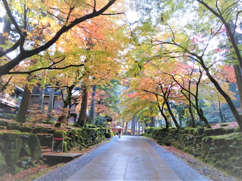 �����դ���ī�λ�ƻ