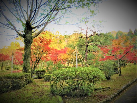 ËüÍÕ¤ÎΤ¡¦Ì£¿¿Ìî¡¡¹ÈÍÕ¤¹¤ë±ñÆâ