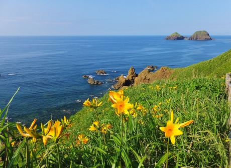 �ȥӥ��ޥ��󥾥�����ĵ�