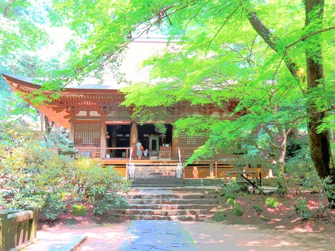 13����Ʋ�ȿ���