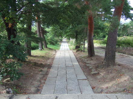 ��������ƻ